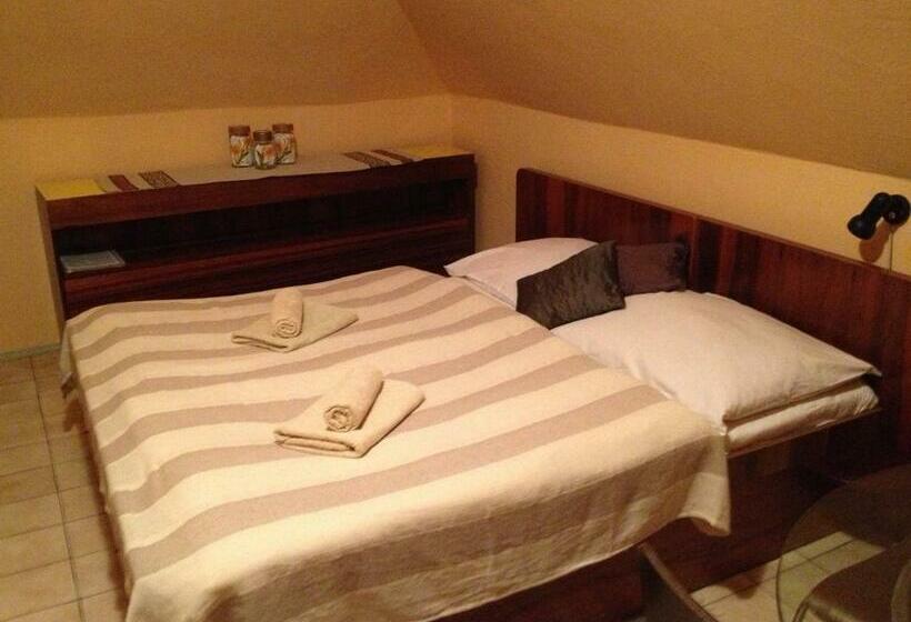 اتاق استاندارد, Asso Penzion