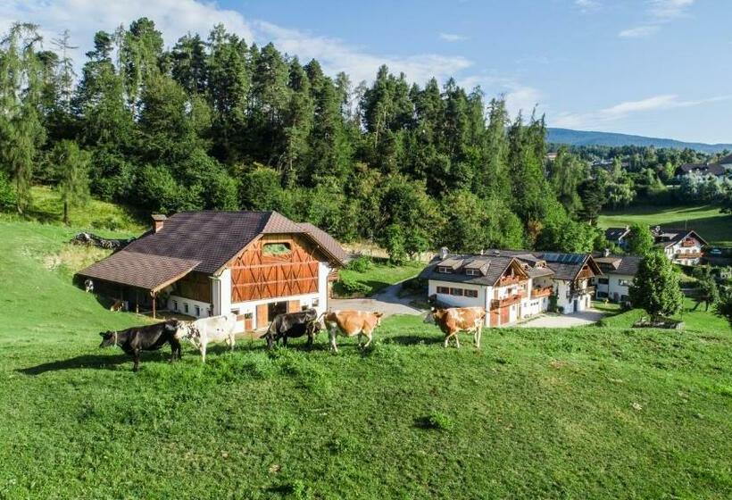 Апартаменты 1 Спальня, Appartments Neuhof