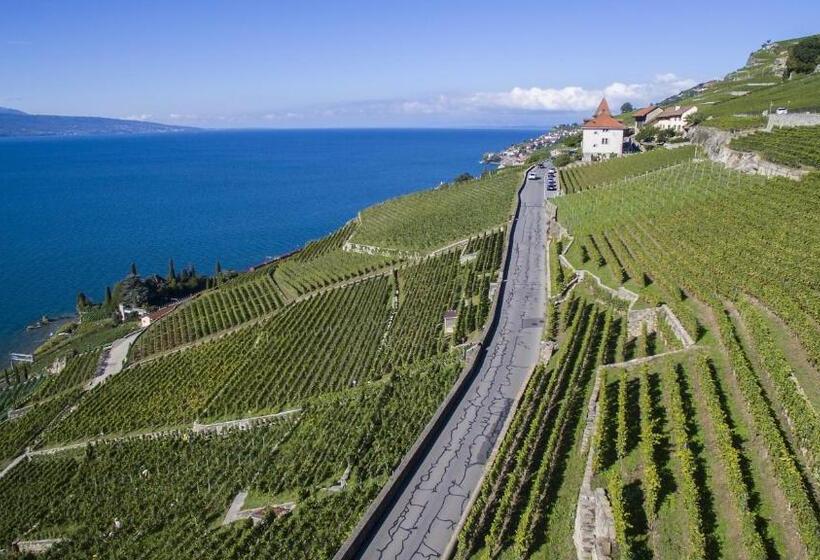 Апартаменты 1 Спальня, Domaine Du Burignon