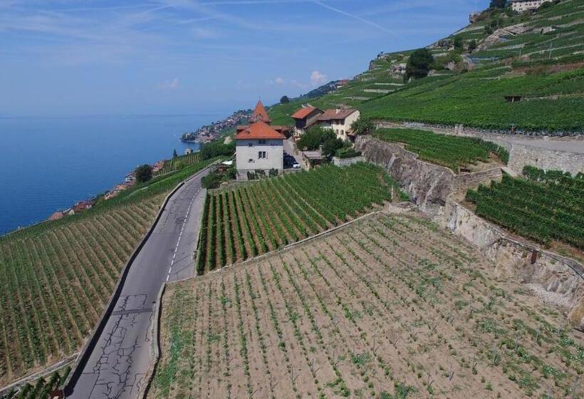 Апартаменты 1 Спальня, Domaine Du Burignon
