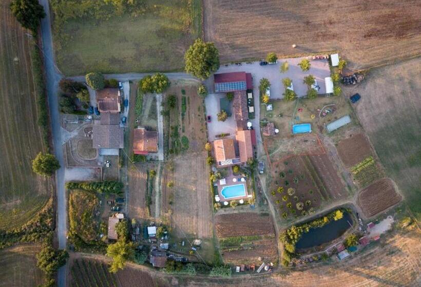 Апартаменты 2 Спальни, Agriturismo Consalvi Valentina