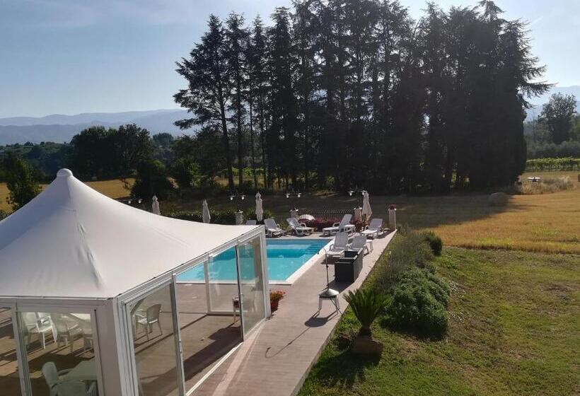 Номер Стандарт, Grotta Biscia