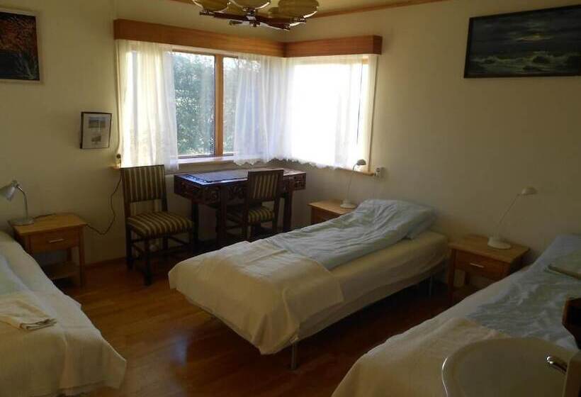 اتاق خانوادگی با سرویس بهداشتی مشترک, Nes Guesthouse