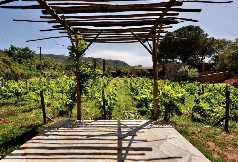 غرفة سوبيريور ثلاثية, Domaine Pozzo Di Mastri