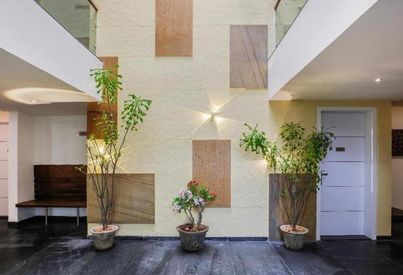اتاق سوپریور, Rohini Apart