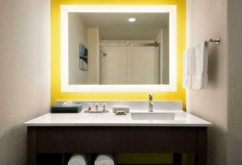 스탠다드 룸 킹사이즈 침대, La Quinta By Wyndham Clovis Ca