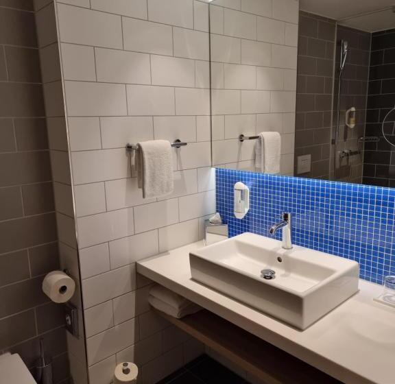 스탠다드 룸, Holiday Inn Express   Wiesbaden, An Ihg