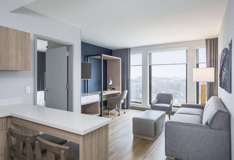 Люкс, Springhill Suites Madison