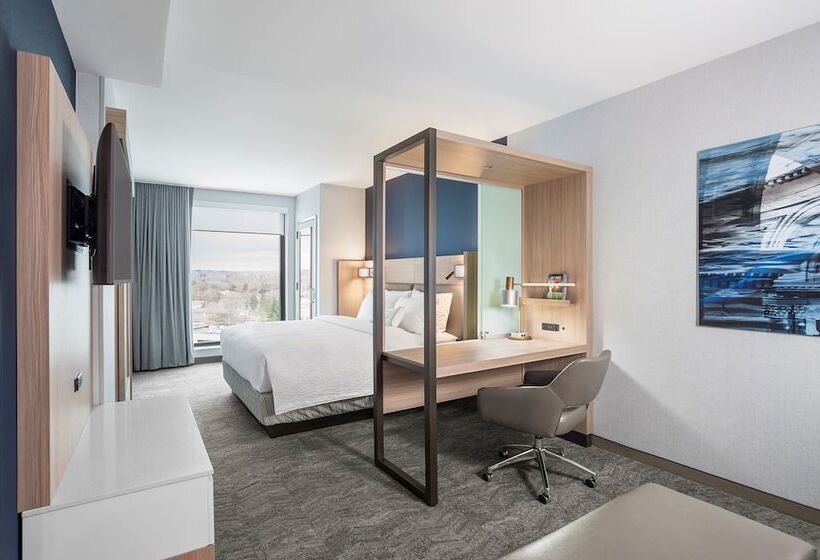 Люкс, Springhill Suites Madison