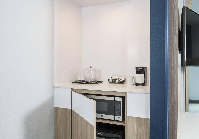 Люкс Кровать Кинг, Springhill Suites Madison