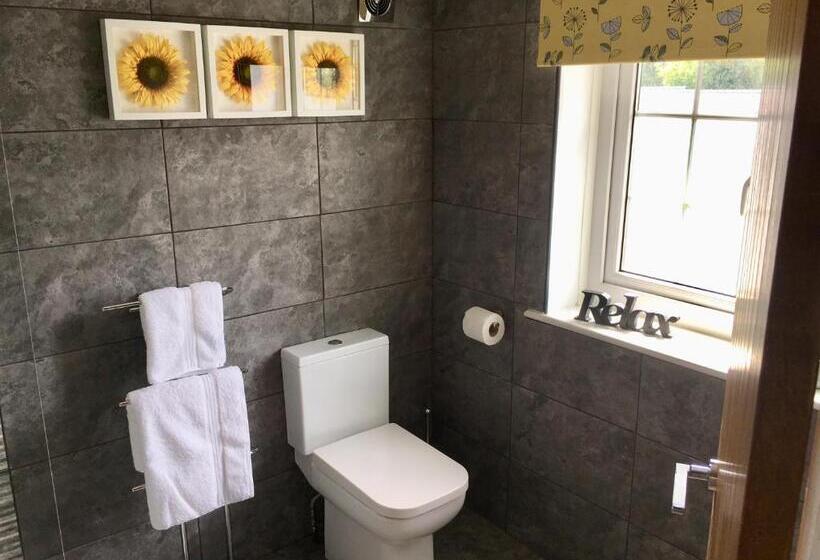 Номер Deluxe Кровать Кинг, The Sun B&b Rooms