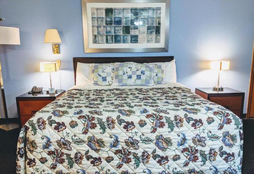 带大床的标准间, Executive Inn