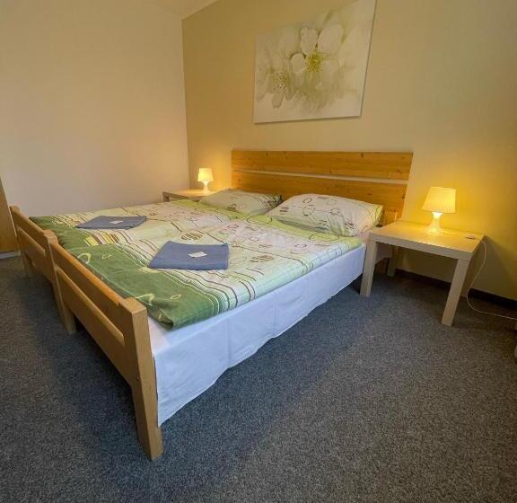 Апартаменты 1 Спальня, Hostel U Sv. štěpána