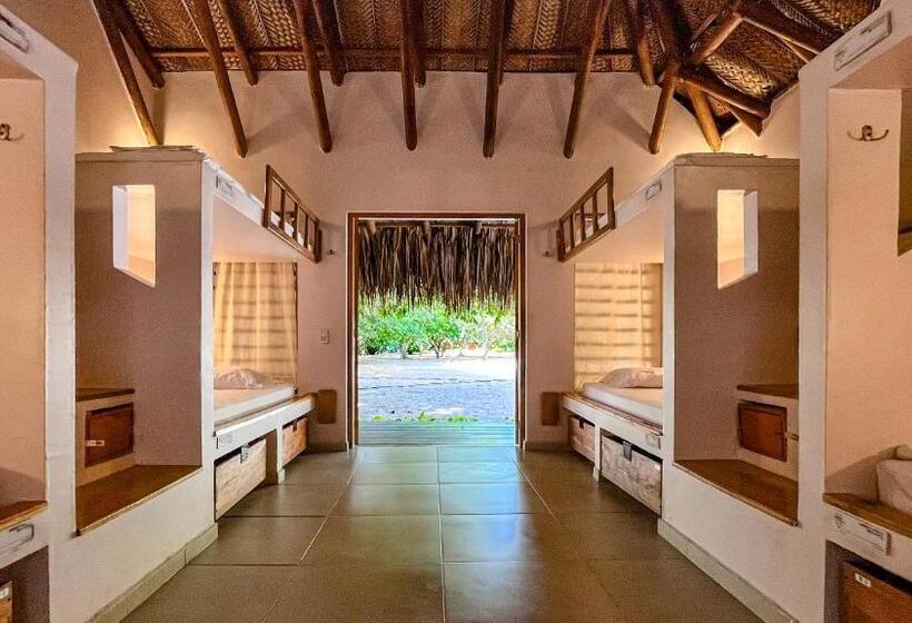 패밀리 룸, Viajero Tayrona Hostel & Ecohabs