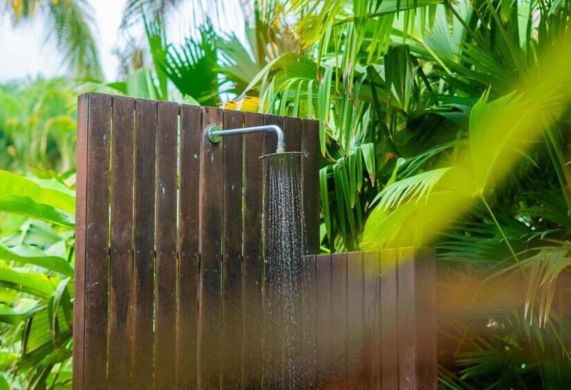 스탠다드 5인객실, Viajero Tayrona Hostel & Ecohabs