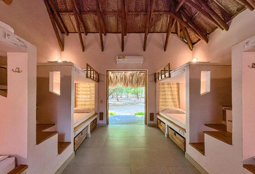 공동 객실, Viajero Tayrona Hostel & Ecohabs