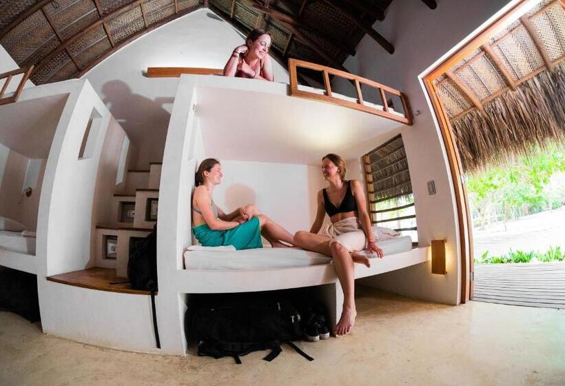 공동 객실, Viajero Tayrona Hostel & Ecohabs