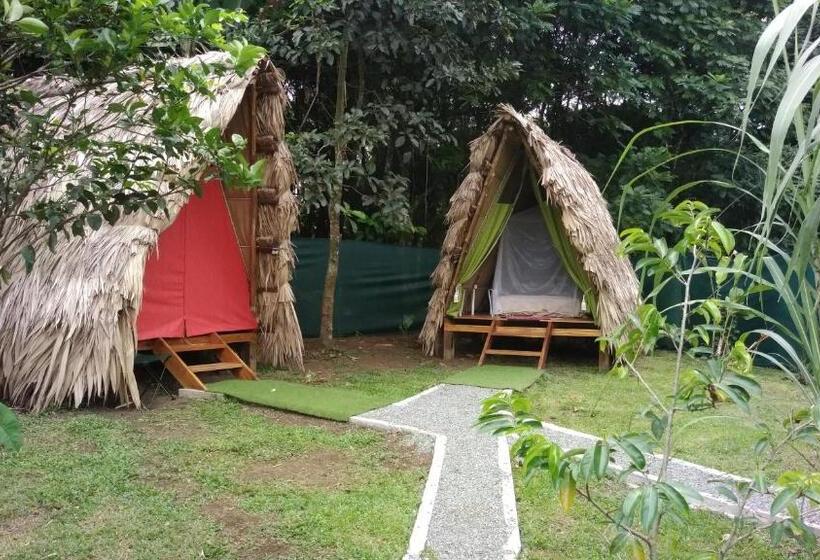Standard Tent, Centro Ananda