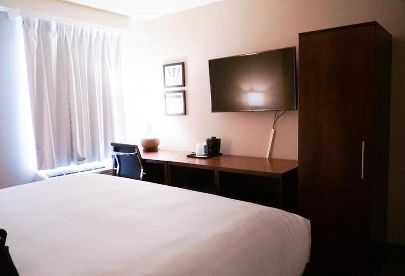 Quarto Estandar, Mint Jfk Airport