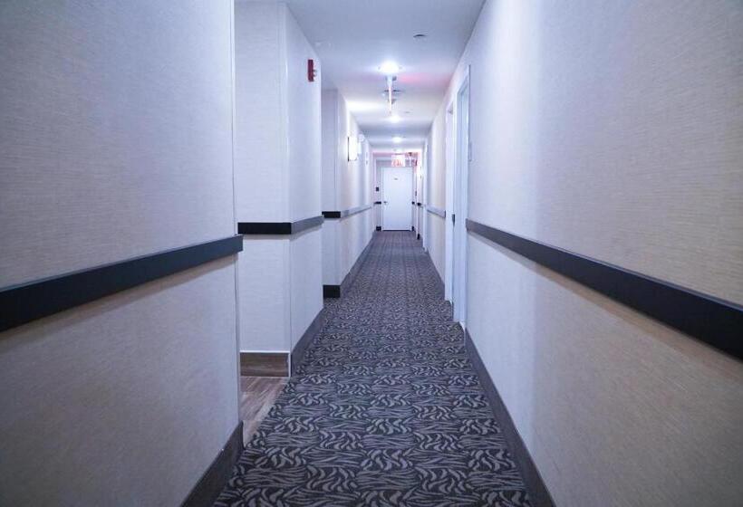 Quarto Estandar, Mint Jfk Airport