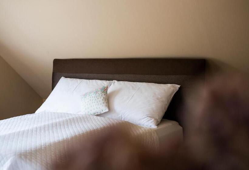 آپارتمان 1 خوابه با تراس, Mikulov Apartmány Magistr