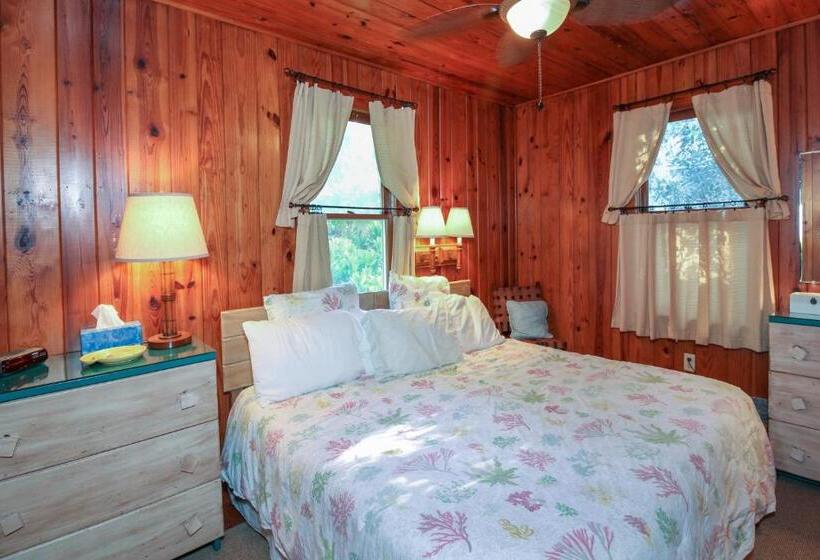 דירה בת חדר שינה 1 עם מרפסת, Bamboo Apartments
