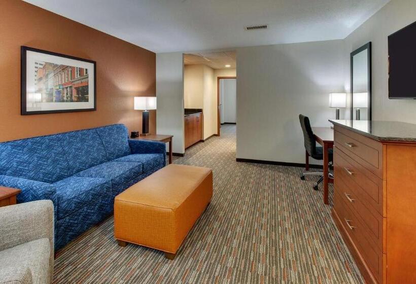 חדר דלוקס עם מיטת קינג, Drury Inn & Suites Knoxville West
