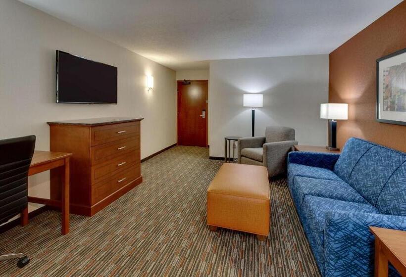 סטודיו סטנדרט, מיטה זוגית, Drury Inn & Suites Knoxville West