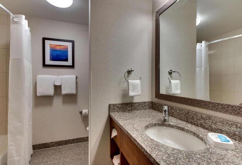 Номер Deluxe Адаптированный для Инвалидов, Drury Inn & Suites Knoxville West