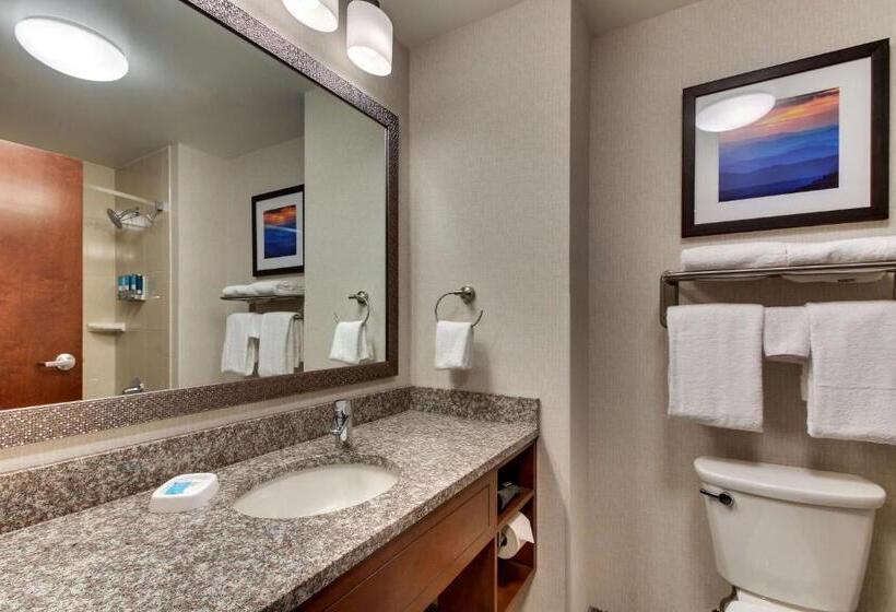 סוויטה מותאמת לאדם עם מוגבלויות, Drury Inn & Suites Knoxville West