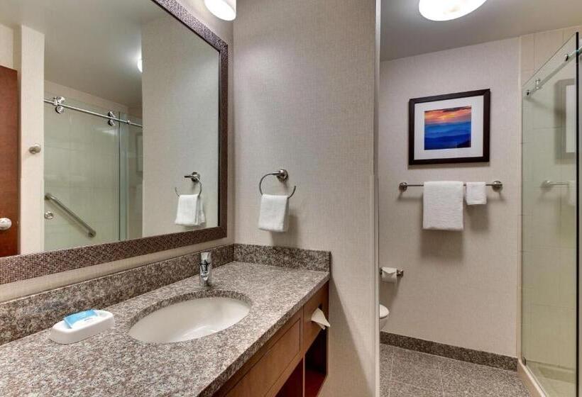 Номер Superior Адаптированный для Инвалидов, Drury Inn & Suites Knoxville West