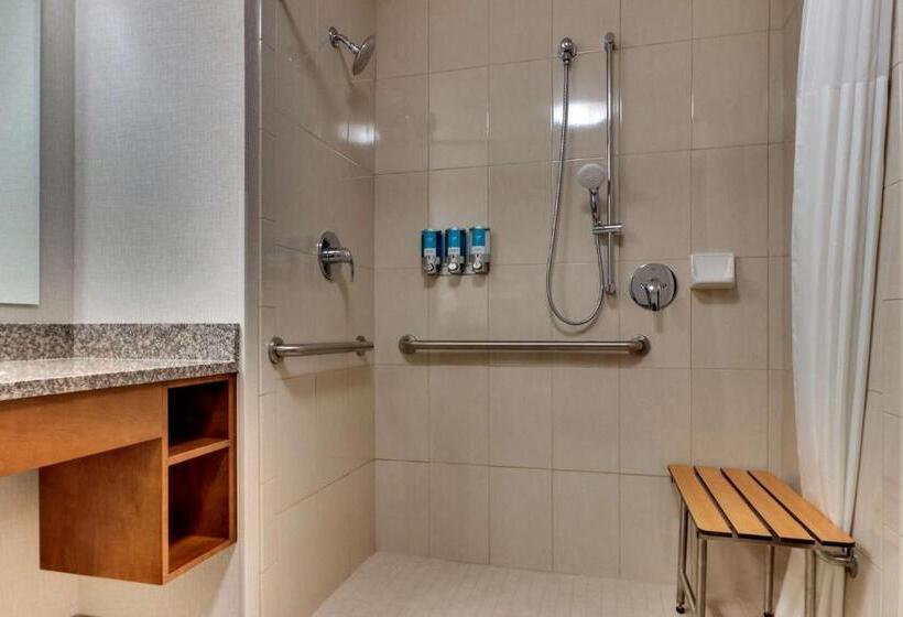 Номер Стандарт Кровать Кинг Адаптированный для Инвалидов, Drury Inn & Suites Knoxville West