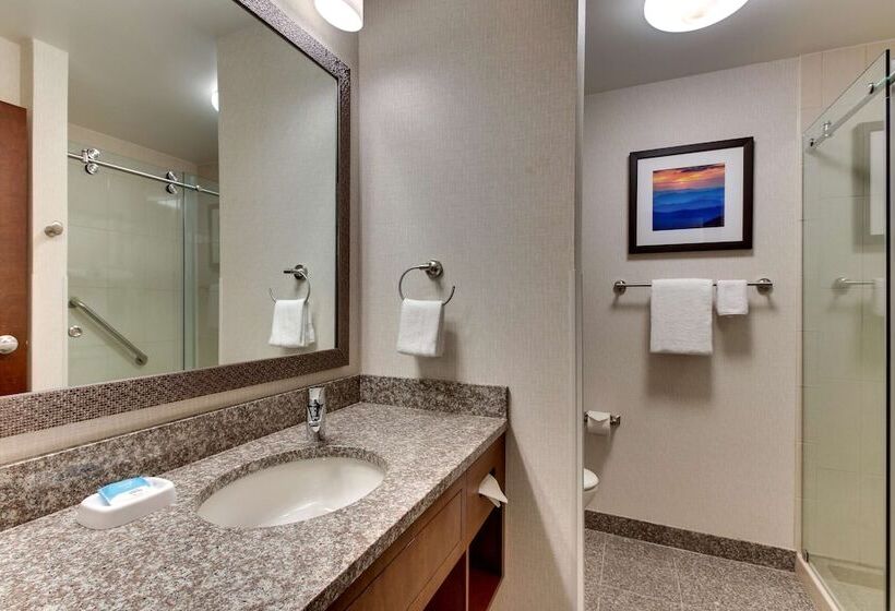 Номер Deluxe, Drury Inn & Suites Knoxville West