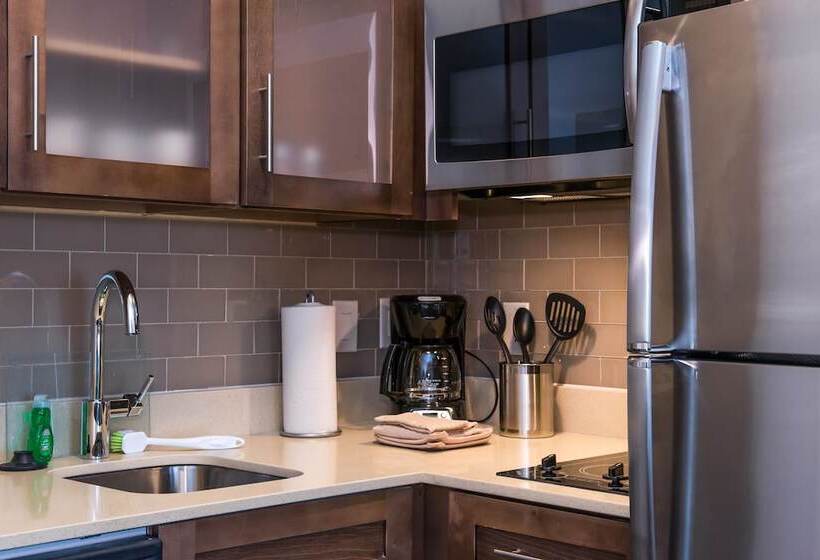 标准工作室, Staybridge Suites   Pecos, An Ihg
