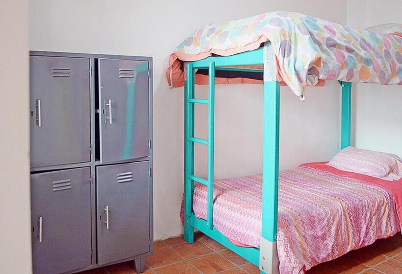 Кровать в Общей Комнате, Alternative Hostels