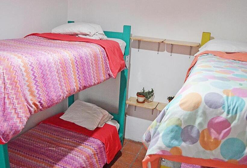 Кровать в Общей Комнате, Alternative Hostels