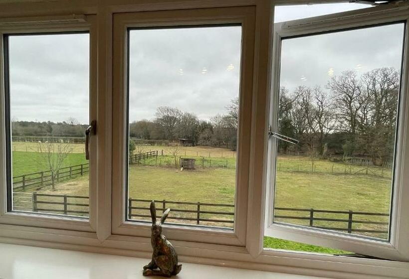 标准间, Graceland Farm B&b