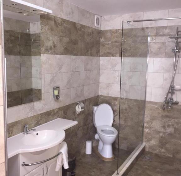 Номер Стандарт Трехместный, Vila Lion