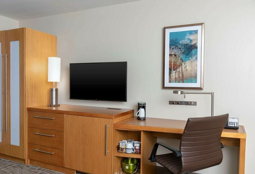 Номер Стандарт, Hyatt Place Detroit/royal Oak