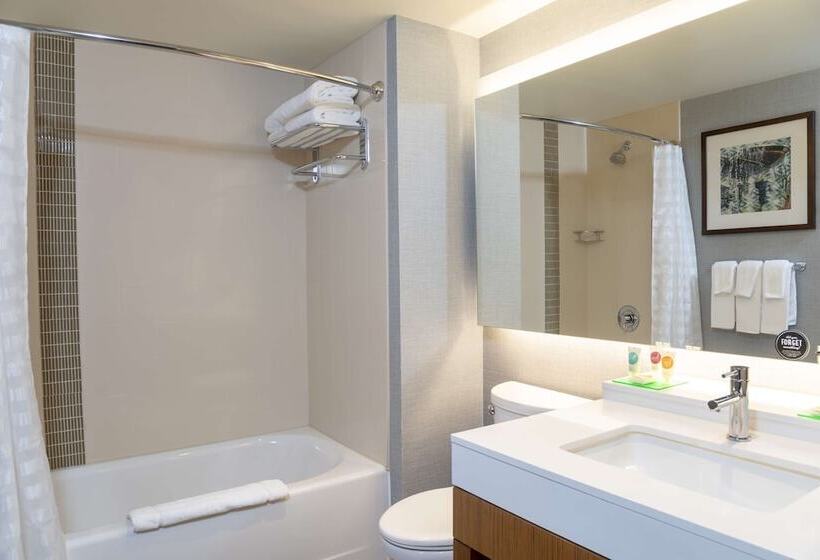 Номер Стандарт, Hyatt Place Detroit/royal Oak
