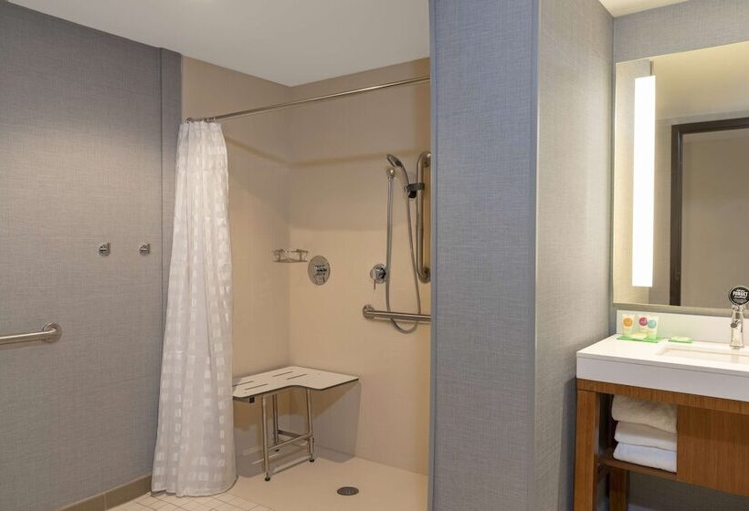 Номер Стандарт Кровать Кинг Адаптированный для Инвалидов, Hyatt Place Detroit/royal Oak