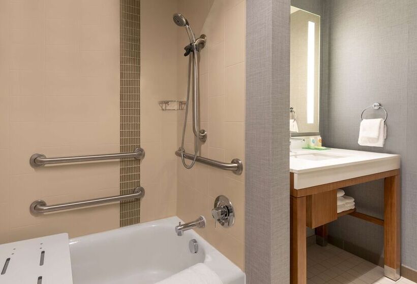 Номер Стандарт Адаптированный для Инвалидов, Hyatt Place Detroit/royal Oak
