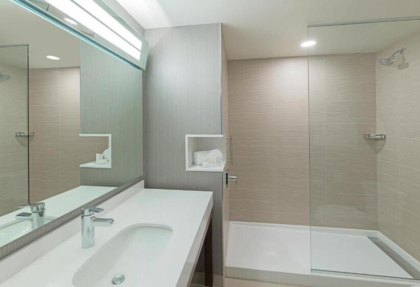 اتاق استاندارد با تخت بزرگ, Courtyard By Marriott Halifax Dartmouth