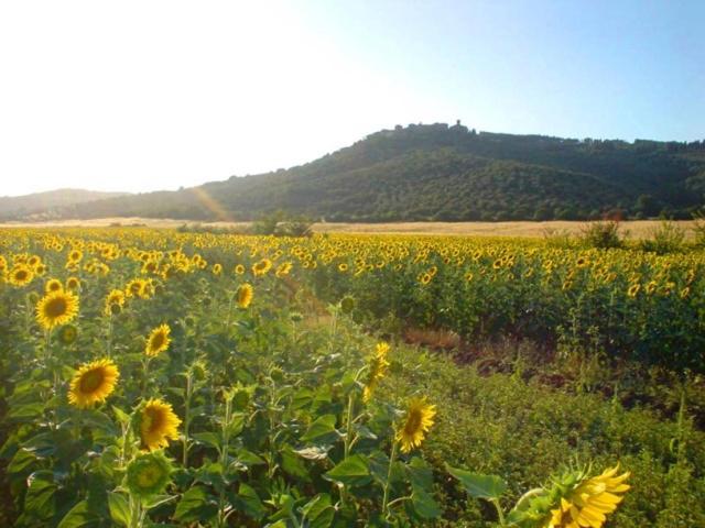 خانه 3 خوابه, Agriturismo Lupo Vecchio