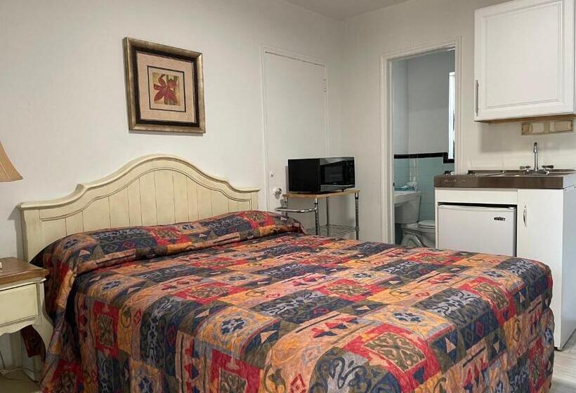 Студия Стандарт, Shell Motel Hollywood