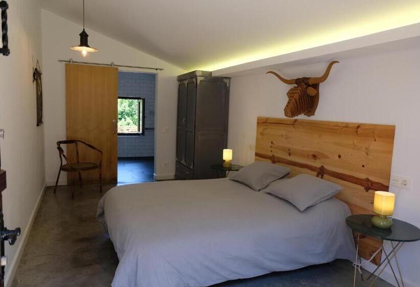 Номер Стандарт, Casa Carmina Hostel