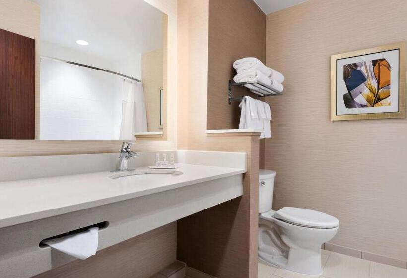 스탠다드 룸, Fairfield Inn & Suites By Marriott Charlottesville Downtown/university Area