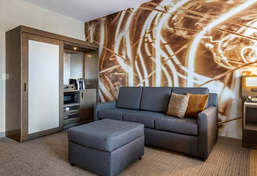 Номер Стандарт Кровать Кинг Адаптированный для Инвалидов, Cambria Hotel West Orange
