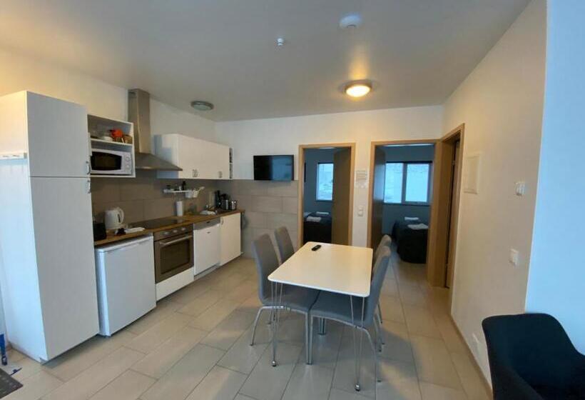 آپارتمان 1 خوابه با چشم‌انداز, Kirkjufell Guesthouse And Apartments