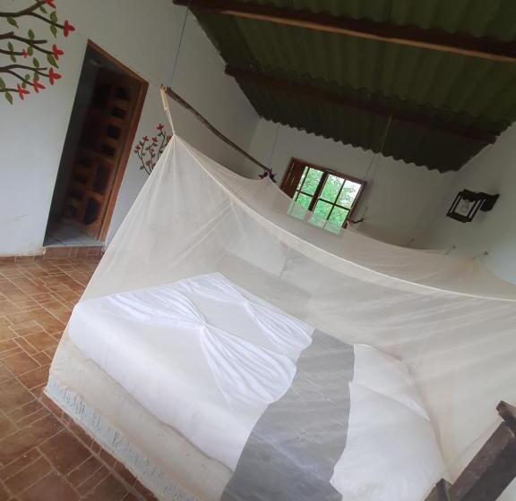 스탠다드 룸, Hostal Luz De Luna